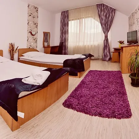Pensiune Pensiunea Moldova 3*