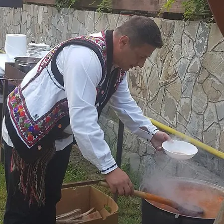 Pensiune Pensiunea Moldova